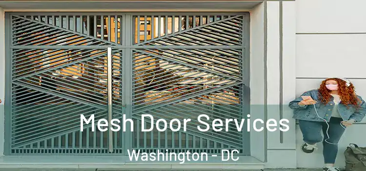 Mesh Door Services Washington - DC